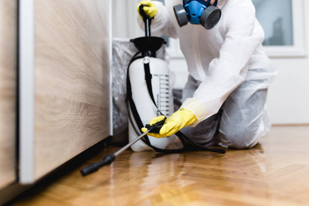 Best Cockroach Control Services  in Lake Placid, NY
