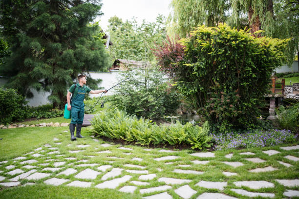 Best Mosquito Control Services  in Lake Placid, NY