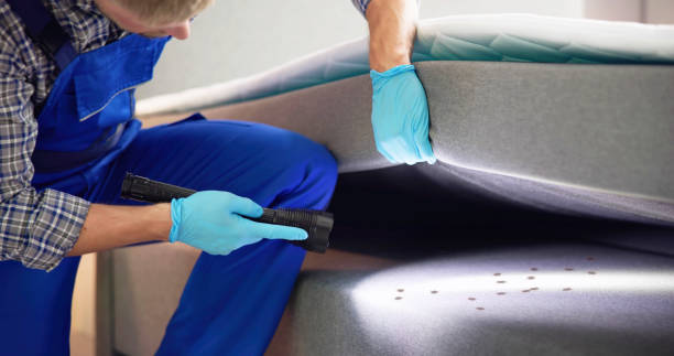 Trusted Lake Placid, NY Pest Control Experts