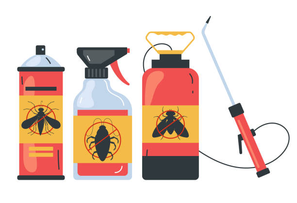 Best Spider Control Near Me  in Lake Placid, NY
